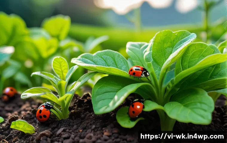 유기농 해충 방제의 생물학적 방법 - A vibrant organic vegetable garden scene in Vietnam during early morning, showing colorful flowering...